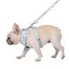 Now House for Pets by Jonathan Adler Terrazzo Reversible Harness,