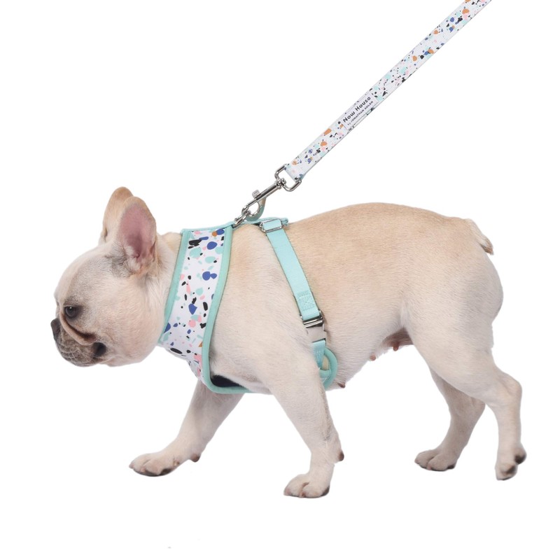 Now House for Pets by Jonathan Adler Terrazzo Reversible Harness,