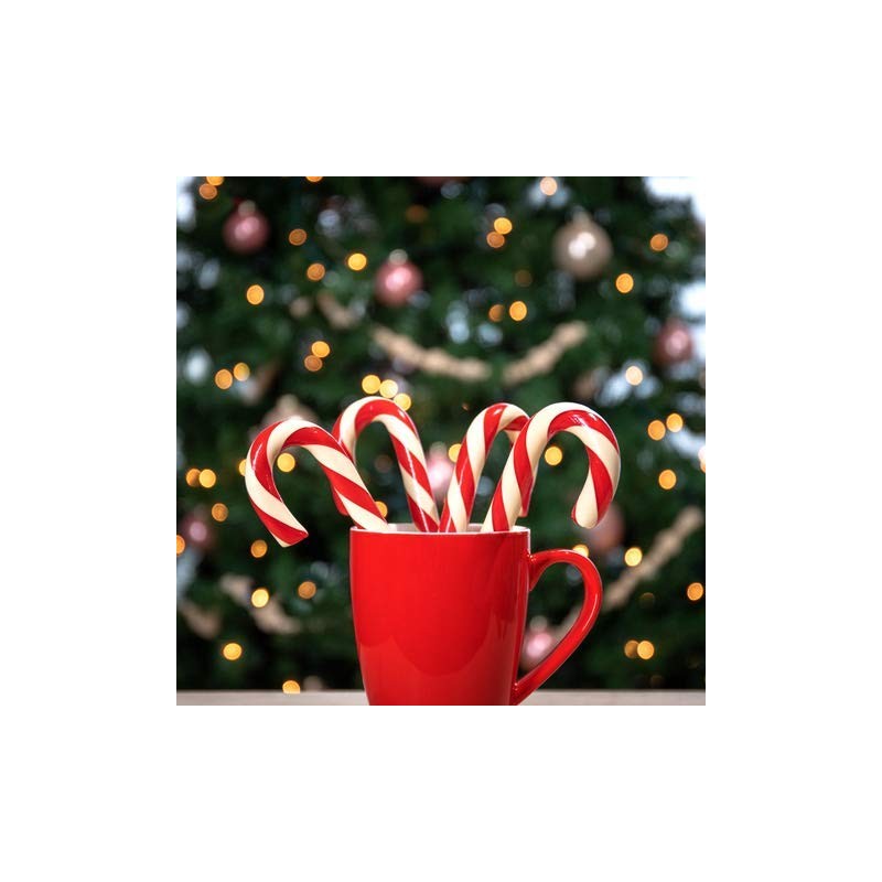 Hammond’s Candies – Hand Spun Peppermint Candy Canes - 6
