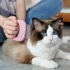 Cat Comb Pet Cat Short & Long Hair Removal Massaging