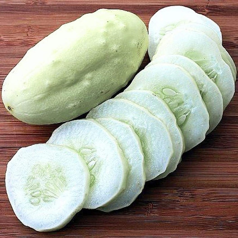 22Day Seeds: Seeds Cucumber White Angel F1 Open-Pollinated/Indoor / 50