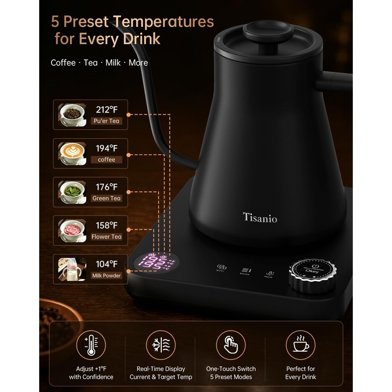 Gooseneck Electric Kettle with Temperature Control, 0.9L, Black