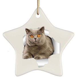 Funny British Shorthair Cat Grey Coming Out of Cracked Wall Gifts 2024 Christmas Tree Ornaments Ceramic Star