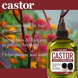 Hair Chemist Estimulador Cuero Cabelludo Aceite Ricino Pro Growth