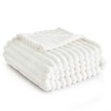 BEDSURE Cuddly Blanket Fluffy Blanket Fleece Blanket - Soft Warm