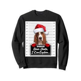 Basset Hound Xmas Dear Santa I Can Explain Funny Christmas Sweatshirt