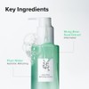 Green Plum Refreshing Cleanser