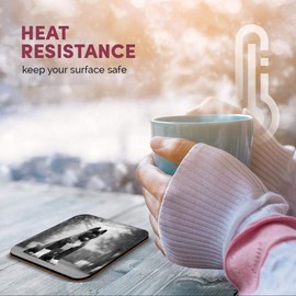 Great Single Coaster Square BW - Large American Akita Puppy Dog |Glossy Quality Coasters | Tabletop Protection for Any Table Type #36628