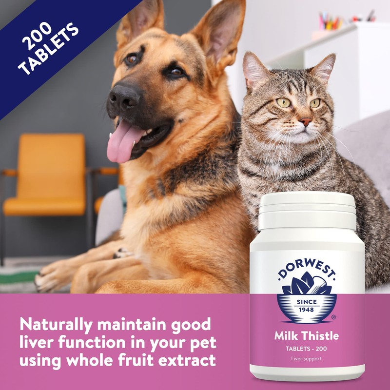 Dorwest Milk Thistle Tablets for Dogs and Cats, 200 Tablets,
