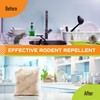 Mouse Rodent Repellent Peppermint Oils: Rate/Spiders/Moths/Ants/Roaches/Silverfish Deterrent - Squirrel Repellent