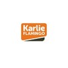 Karlie Flamingo Universal Brush with Handle for Cat – Purple/Black