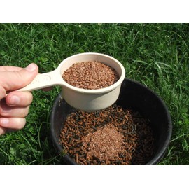 Bulk Whole Flax Seed Omega-3 Fatty Acid Supplement for Horses 10 Pounds