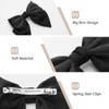 ZOUIQSS 2PCS Large Bow Hair Clips French Bowknot Hair Barrettes