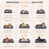 Comfort Expression Medium Dog Beds Waterproof Orthopedic Foam Dog Sofa