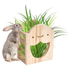 rabbit grass box hay rack food bowl rabbit grass container hay feeder for small animals wood wall saving space saving screw fixed bite wood grass box hay feeder rabbit tableware (smiling grass ground)