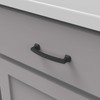Hickory Hardware 1 Pack Solid Core Kitchen Cabinet Pulls, Luxury