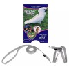 Premier Feather Tether Bird Harness and Leash LARGE GRAY For