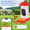 Smart Hummingbird Feeder with 2K HD Camera Auto Capture/Notify &AI