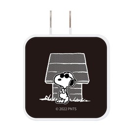 Gourmandise Peanuts USB/USB Type-C AC Adapter Joe Cool SNG-718B