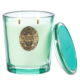 M&SENSE Large Two-Wick Aromatherapy Soy Candle | Eucalyptus Mint & Blue | 19.8 oz, 120H Burn Time | Luxury Scented Candle for Relaxation, Gifting, Home Décor | Ideal for Bedroom, Office