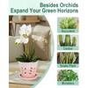 vensovo 6 Inch Ceramic Orchid Pot - Orchid Pot with