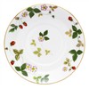 Wedgwood 1053375 Wild Strawberry Cup and Saucer (Delphi), Wedding Gift