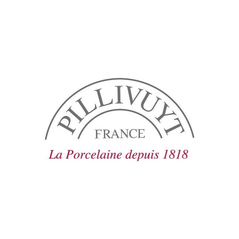 PILLIVUYT, DEEP OVAL LARGE WHITE FRENCH PORCELAIN BAKER, 12.5" x