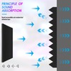 4 Pack Sound Proof Foam Panels, 48"×24"×2" Soundproof Wall Panels