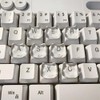 長い爪用キーボード隆起ステッカー ネイルアートタイピング爪の保護器 隆起したキーボードステッカー 透明 ネイル保護 粘着シール付き 猫の頭 64個