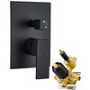 Wall Mount Shower Pressure Balance Mixer Valve,2 Function Shower Solid