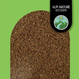 Alpi Nature Whole Caraway Seeds – Aromatic & Flavorful, Perfect for Cooking & Baking [500g 1.1lb]