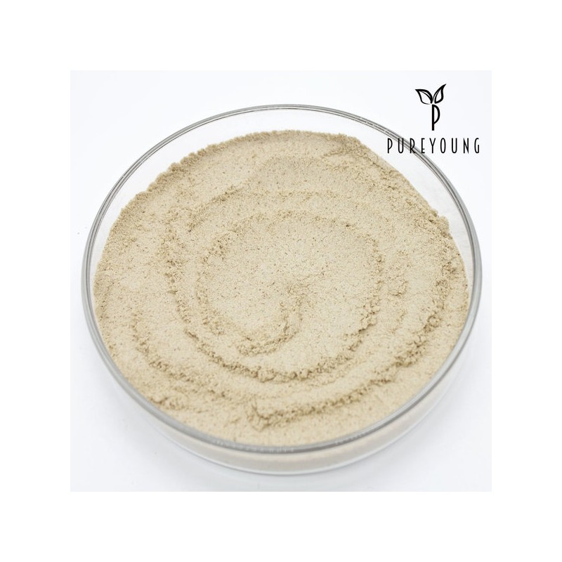 Psyllium Husk Powder 400g Premium Dietary Fiber / 차전자피 가루