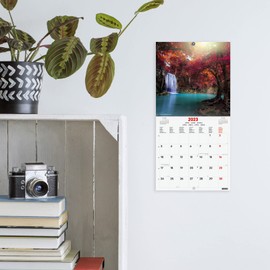 Finocam - Illustrated Wall Calendar 2023 International January 2023 - December (12 Months) Nature, 781235323, Illustrated 18X18 (180x180mm)