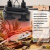PTSCBS 2-Pack Ceramic Reptile Heat Lamp (Non-Light Emitting Bulb) -