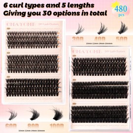 DOINEUFL 480 Pieces Cluster Lashes Kit 30-40-50-60-80-100D DIY Individual Eyelashes D Curl Durable Fluffy Russian Eyelashes Extensions for Girls and Women（8-16mm Mix) (30-100D(Tools))