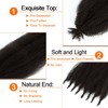 Dark Brown Springy Afro Twist Hair Color 4 24 Inch