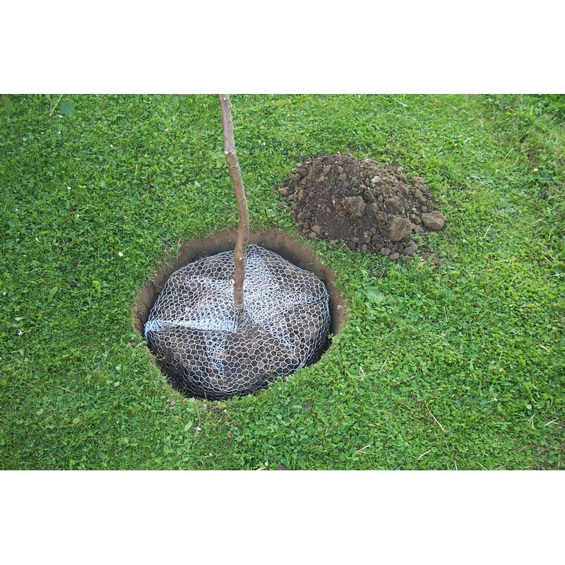 Kerbl 291174 Vole Basket Height 40 cm Diameter 35 cm