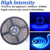 QUAYUB Bright Blue 12V 5M 2835 Waterproof SMD 300 LED
