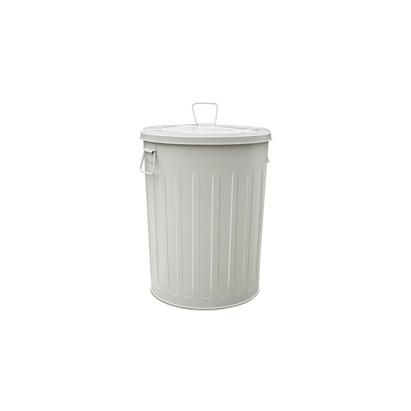 MARKSON 20 Gallon Trash Can, Steel Trash Can with Lid,