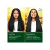 Shampoo Sin Sal Aguacate 865 ml Bio:Renew Herbal Essences