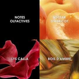 PREROGATIVE/BRITNEY SPEARS FRAGRANCE MIST SPRAY 8.0 OZ (236 ML) (W)