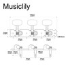 Musiclily 3 on a Plate Short Acoustic Guitar Tuning Pegs
