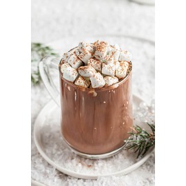 Hot Chocolate Fragrance Oil 8 oz Bottle Premium Grade for Candle and Soap Making by Midway Mercantile