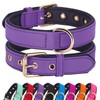 Didog Dog Collar, Waterproof Soft Padded Strong Small Dog Collars