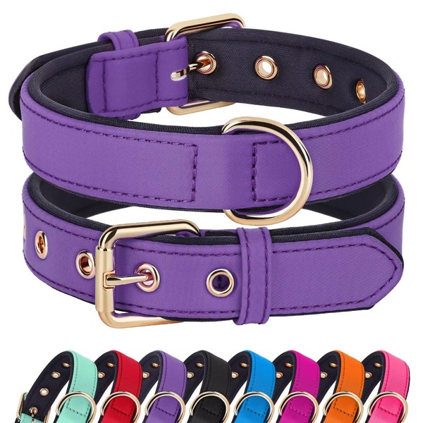 Didog Dog Collar, Waterproof Soft Padded Strong Small Dog Collars