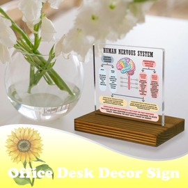 The Human Nervous System Brain Sign, Fight or Flight Response CBT DBT EMDR Psychologist School Counselor Therapy Office Decor Therapy Tools Plaque, Acrylic Desk Decor Sign with Wood Stand - FSA078