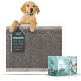 Disposable Puppy Pads Potty Training - 10 Activated Charcoal Pee Pads for Dogs with Attractant - Wee Wee Absorbent, Odor Neutralizer Dog Pads - Five Layered Pet Potty Pads - 36" x 36"