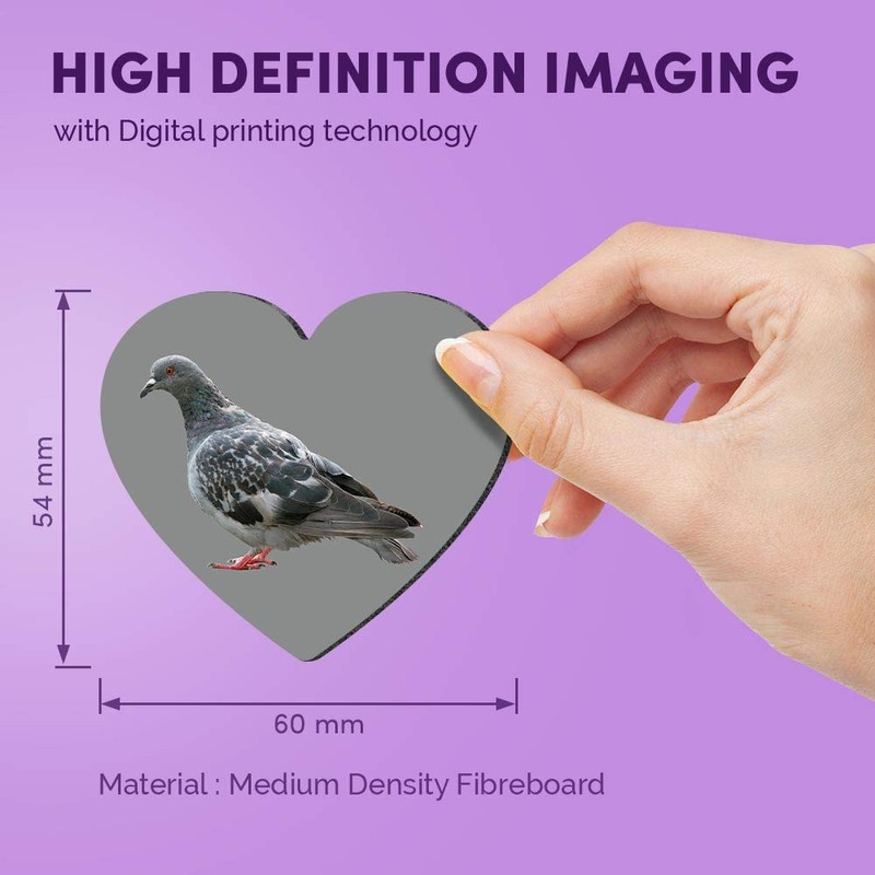 1 x Heart MDF Magnets - Grey Pigeon Wildlife Bird