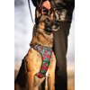 Helltails Anti-Pull Dog Harness for Small Dogs, Padded, No Absorb,