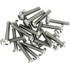 M3 (3mm x 20mm) TX Pan Thread Rolling Screw -